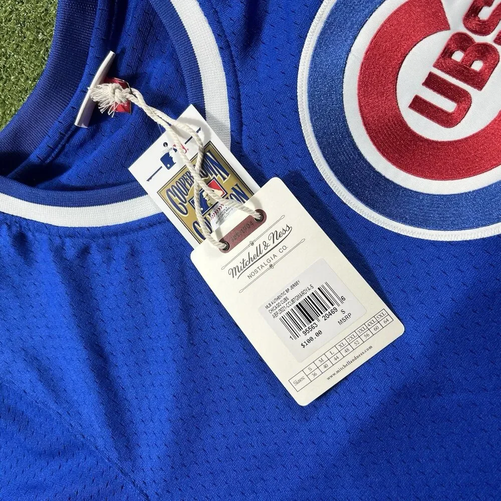 Chicago Cubs Greg Maddux #31 Mitchell & Ness Blue 1987 Authentic Size S Jersey